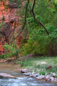 Zion National Park