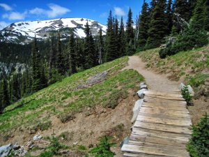 Mount Rainier NP, Washington, USA