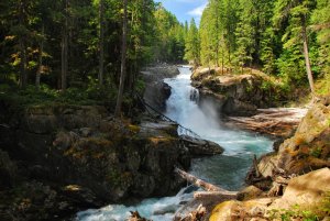 Mount Rainier NP, Washington, USA