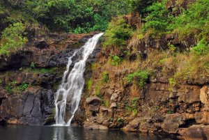 Waimea valley med vattenfall och tropisk regnskog.