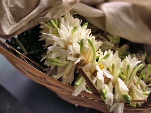 Jasmine in temple-Chennai-India