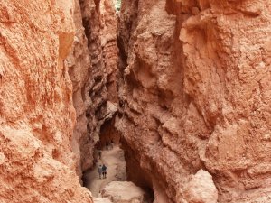 Bryce Canyon – Utah – USA