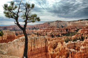 Bryce Canyon – Utah – USA