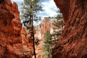 Bryce Canyon – Utah – USA