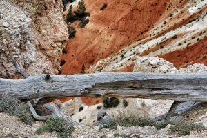 Bryce Canyon – Utah – USA