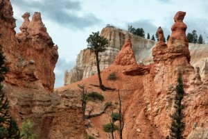 Bryce Canyon – Utah – USA