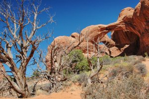 Arches – Utah – USA