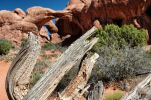 Arches – Utah – USA