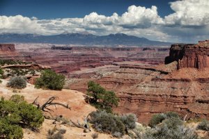 Canyonlands – Utah – USA