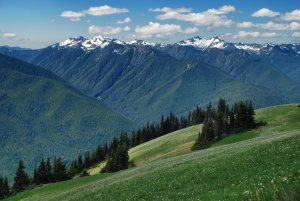 Olympic NP-Washington-USA