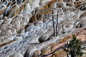 Yellowstone – Wyoming – USA