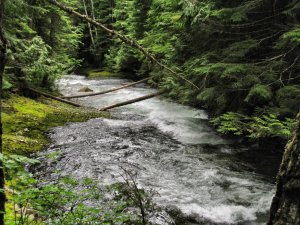 Whistler – Kanada (18)