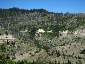 Mount St Helens-Washington state-USA