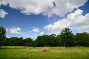 Blue skies-Nacka-Nyckelviken