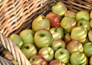 Apples in Värmdö musteri