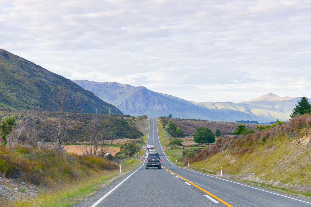 On the road till Te Anau
