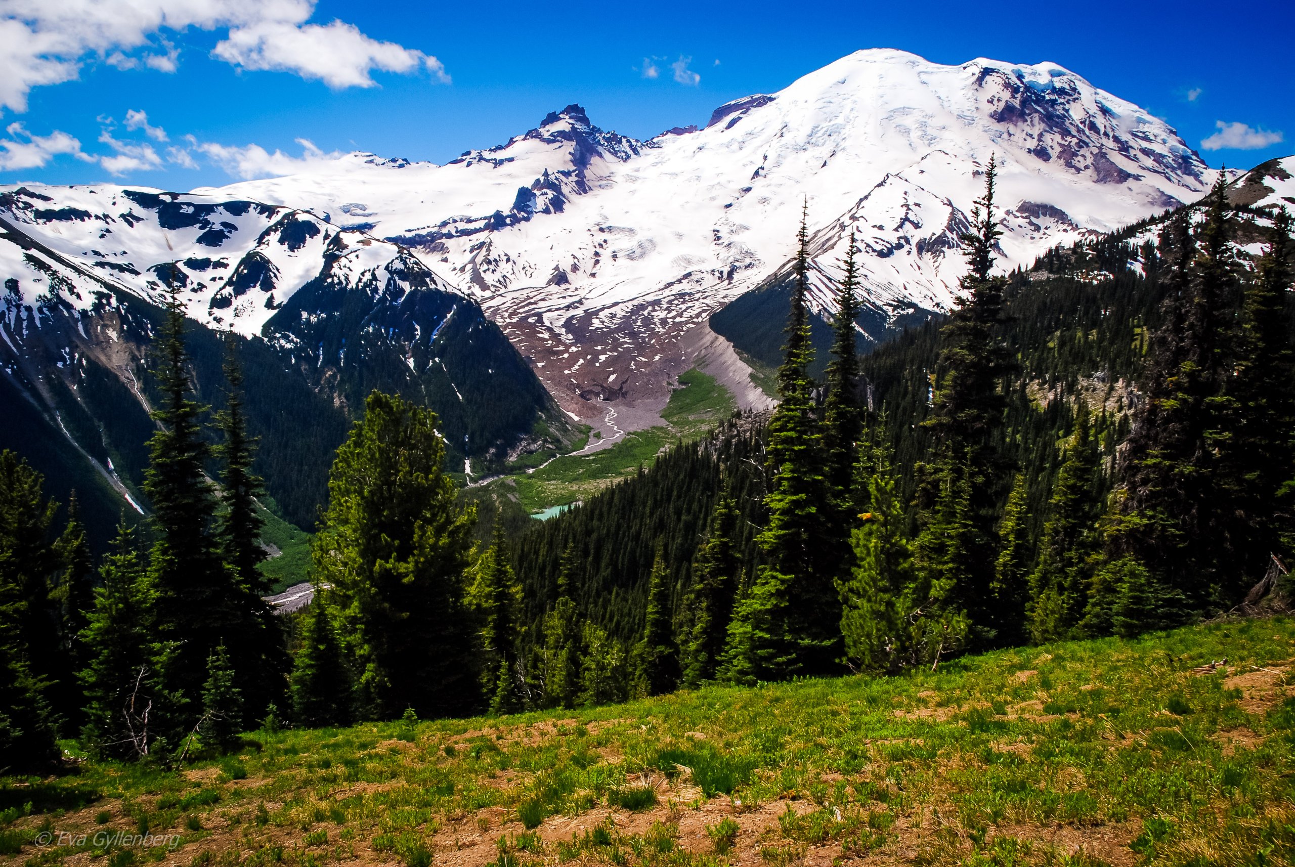 Storslagna vyer - Mount Rainier - Washington