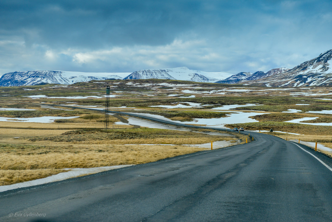 Ringvägen - Island - dagsutflykt från Reykjavik till Vik