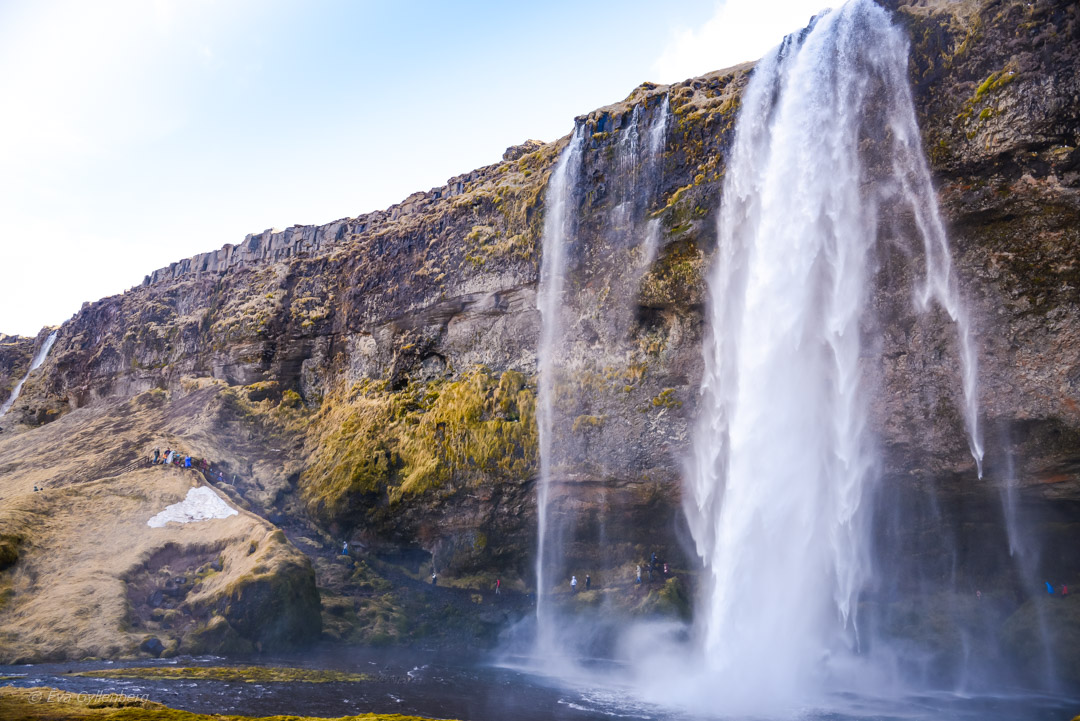 Seljalandsfoss vattenfall - Island - Dagsutflykt från Reykjavik till Vik