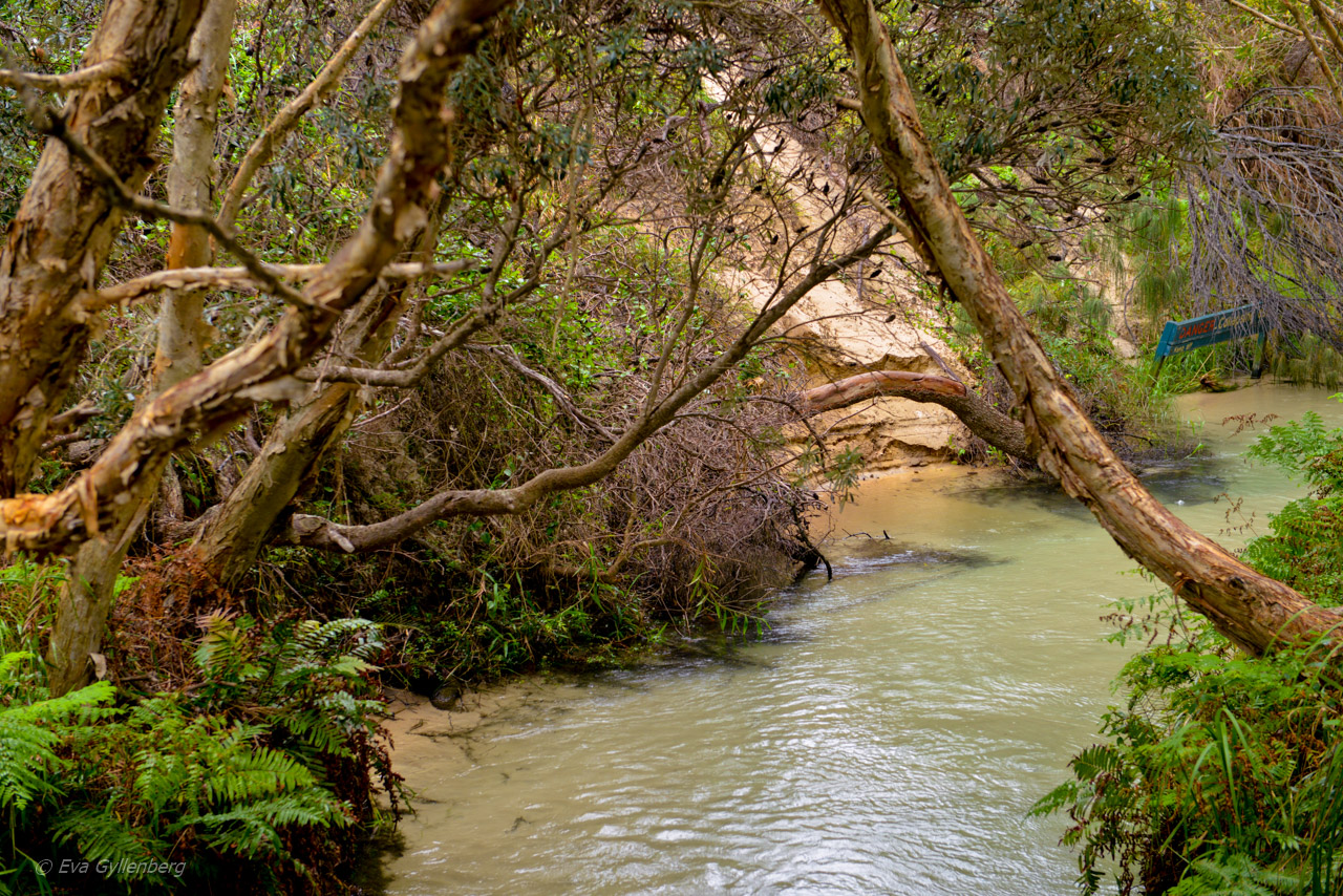 Fraser Island - Australien