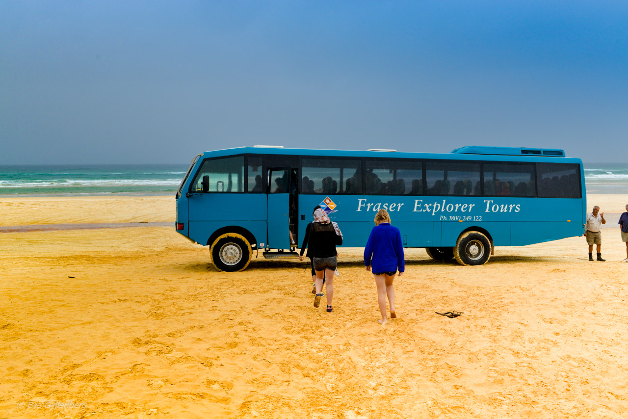 Buss på en strand