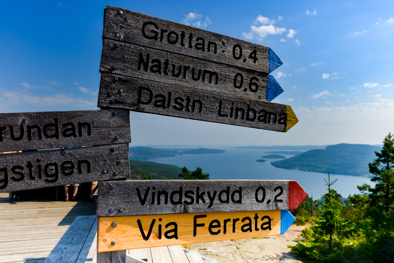 Skuleskogen Nationalpark vid Höga kusten