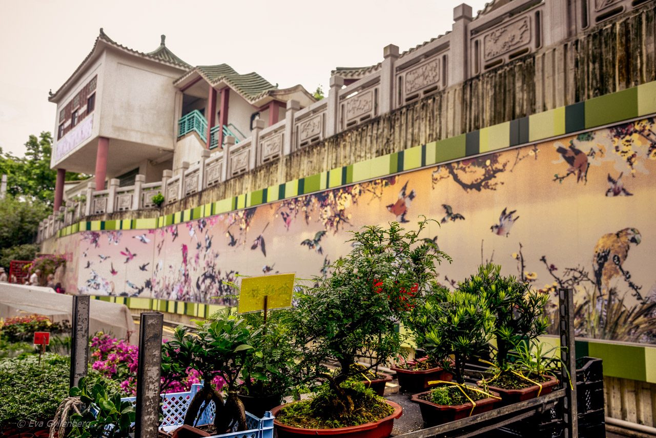 Blomstermarknaden i Hongkong