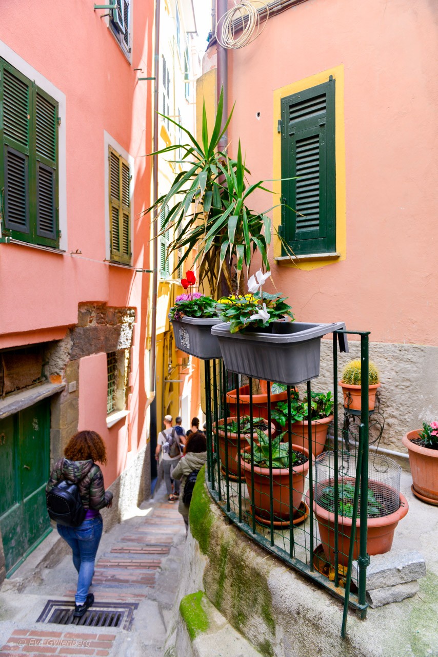 Vernazza - Cinque Terre