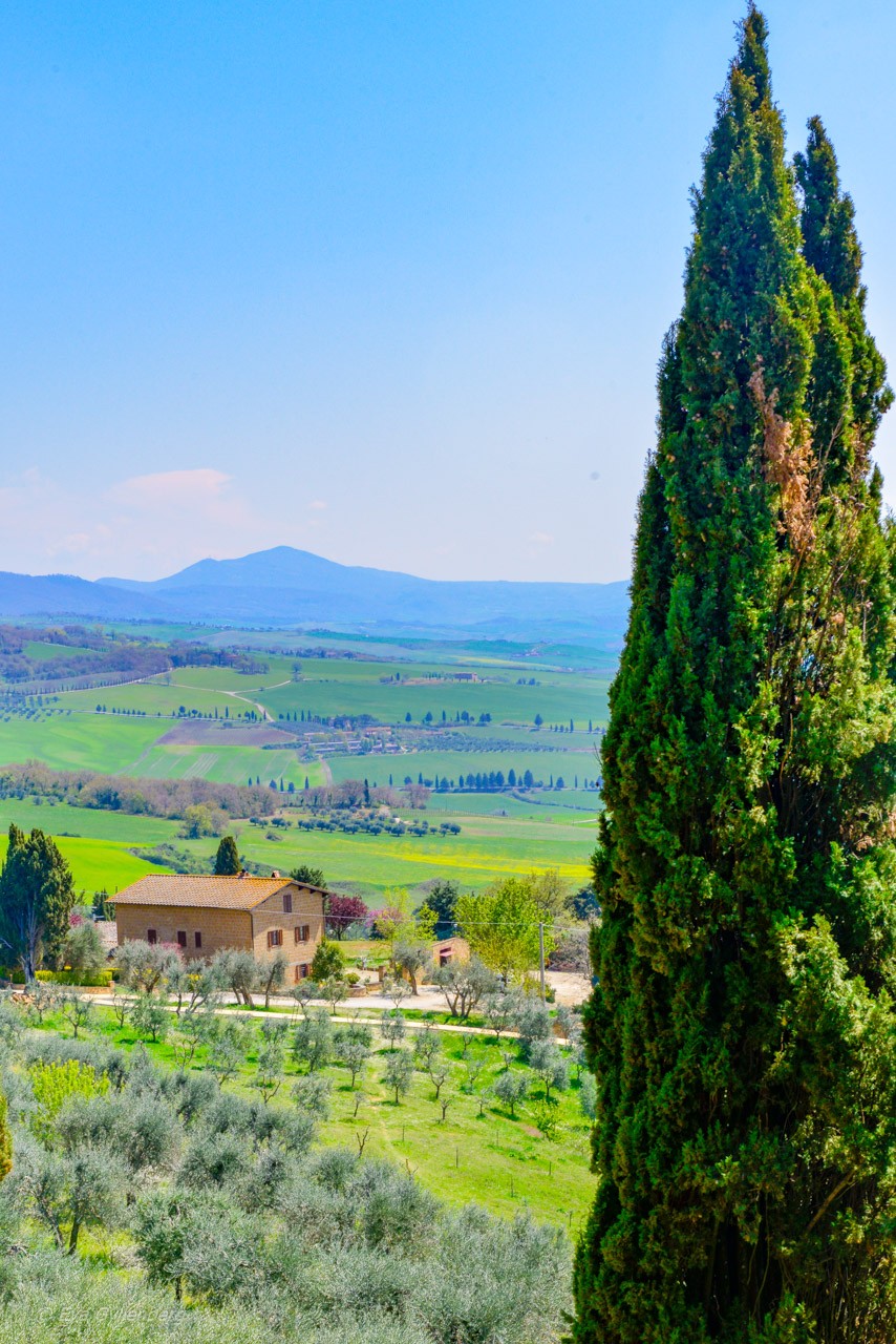 Pienza-Toscana-Italien