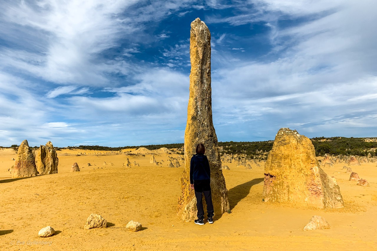 Pinnacles desert - Australien