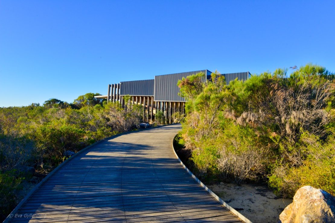 Park centre - Pinnacles desert - Australien