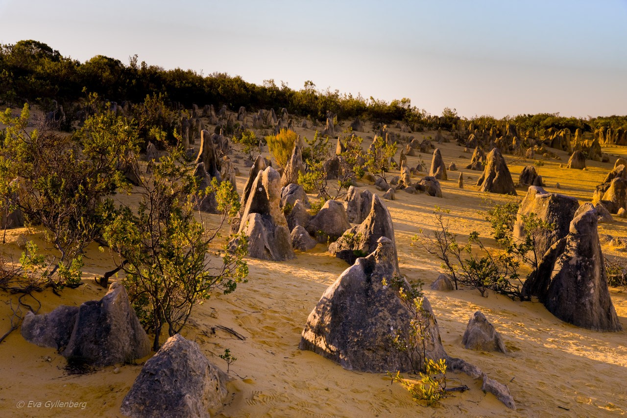 Pinnacles desert - Australien