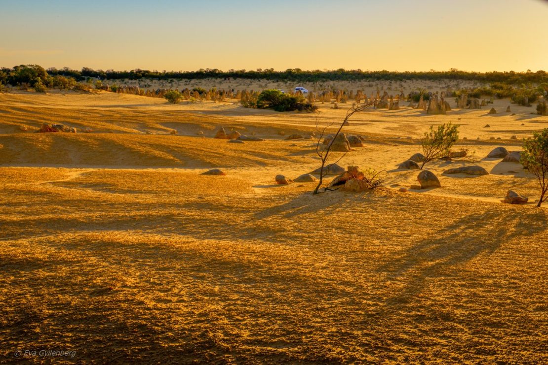 Pinnacles desert - Australien