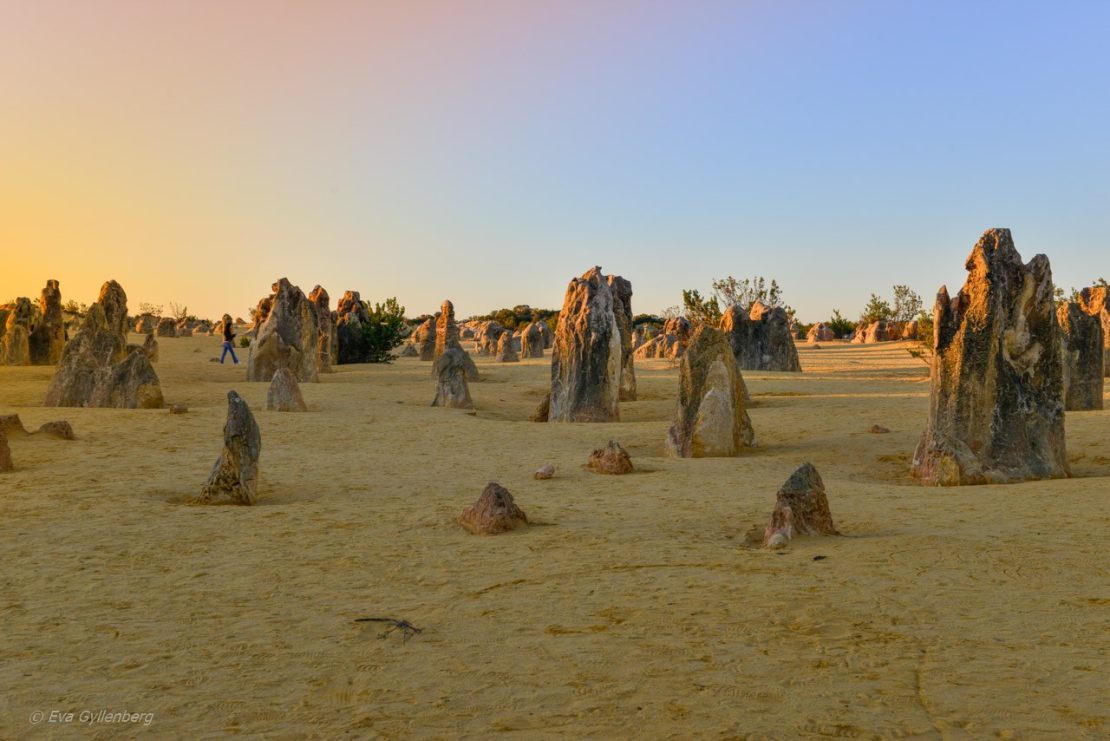 Pinnacles desert - Australien