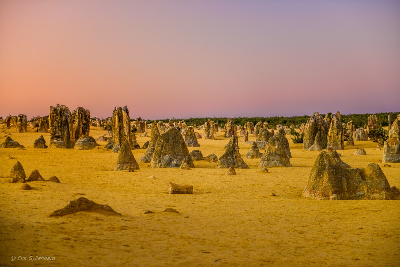 Pinnacles desert - Australien