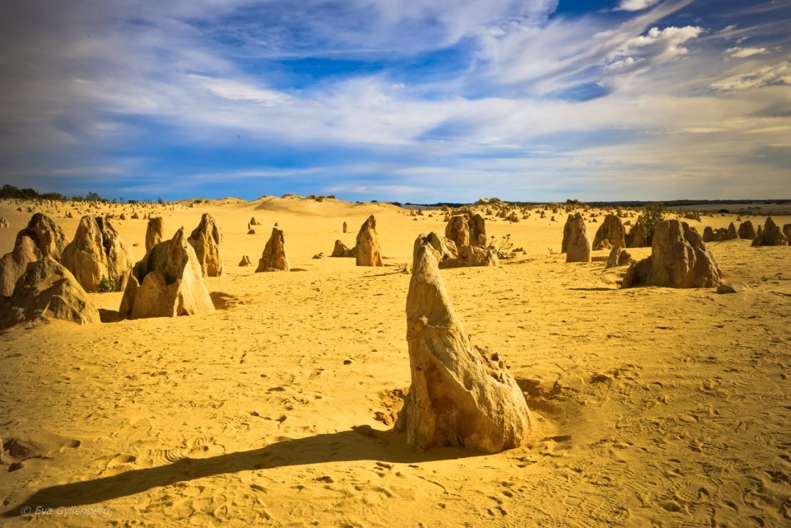 Pinnacles desert - Australien