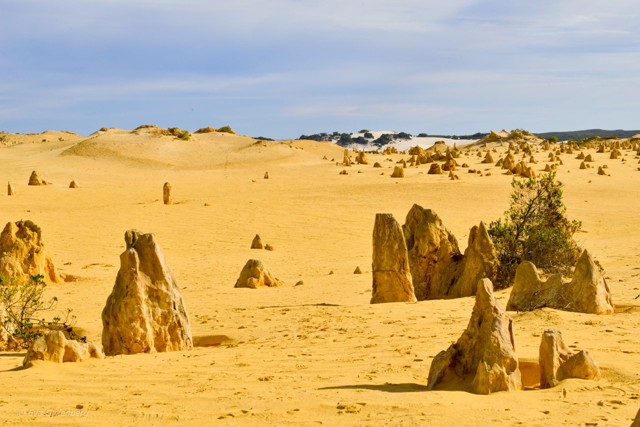 Pinnacles desert - Australien