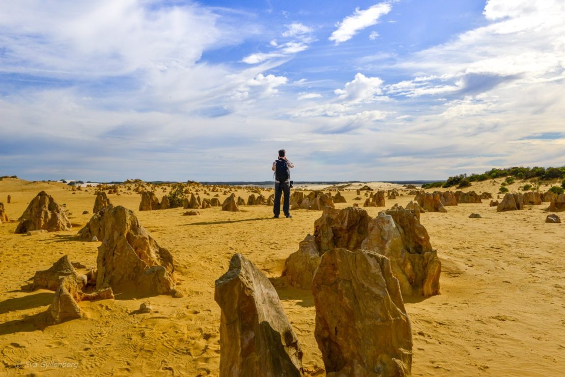 Pinnacles desert - Australien