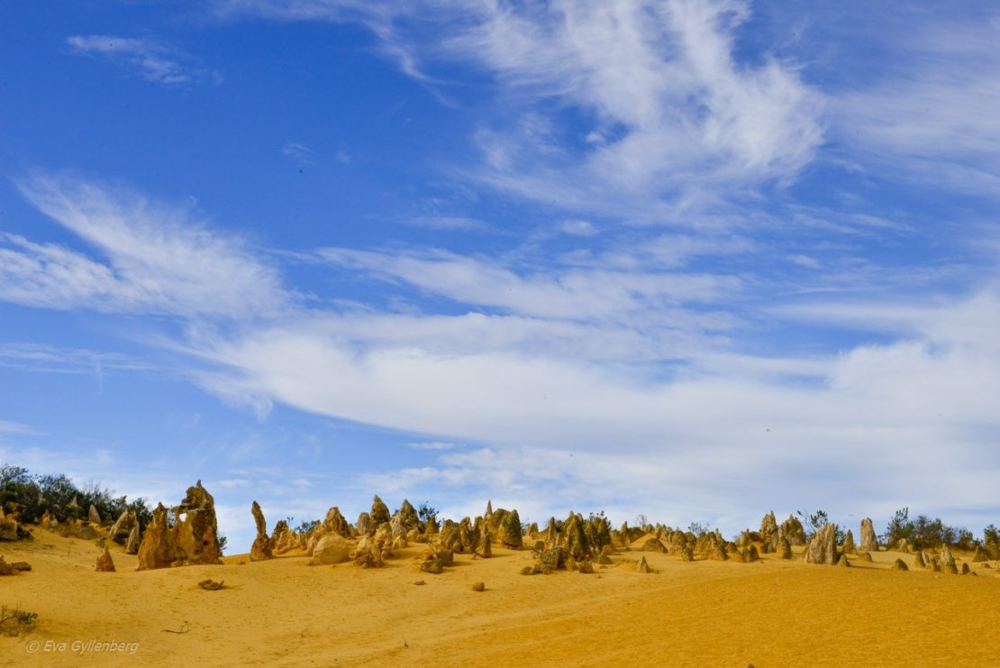 Pinnacles desert - Australien