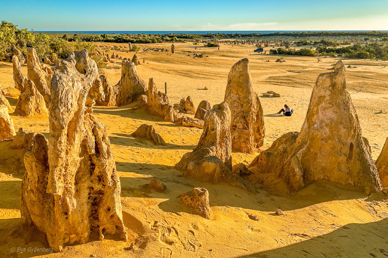 Pinnacles desert - Australien