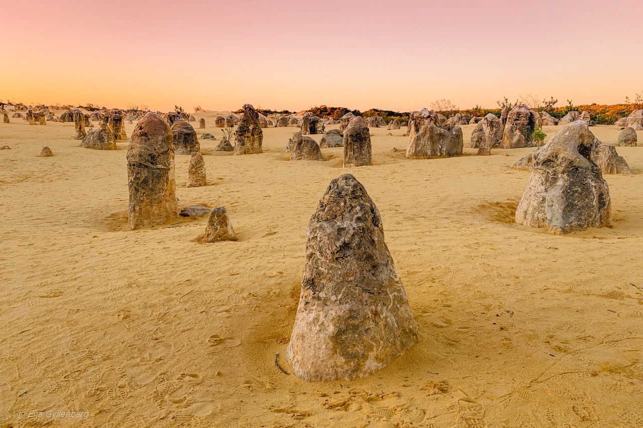 Pinnacles desert - Australien