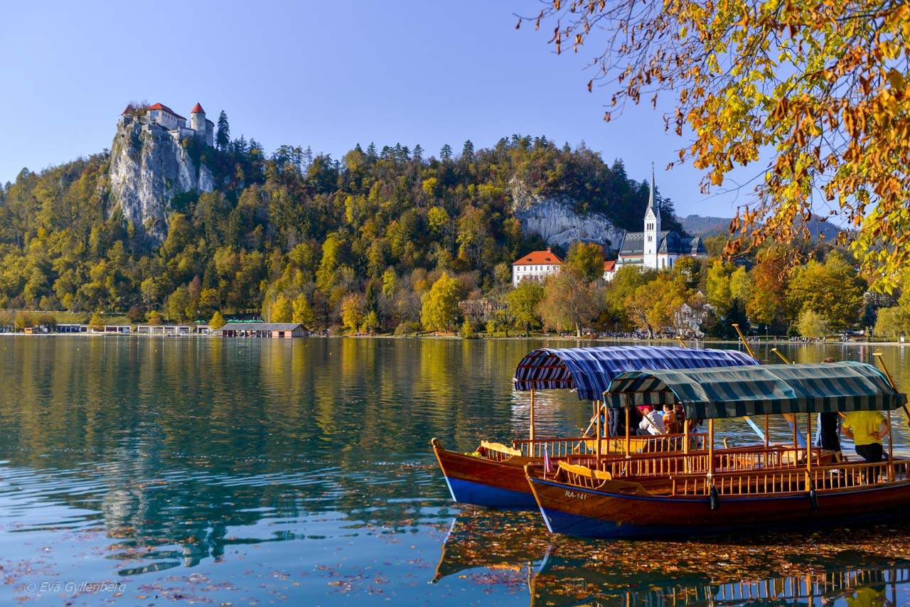 Båtar vid Lake Bled