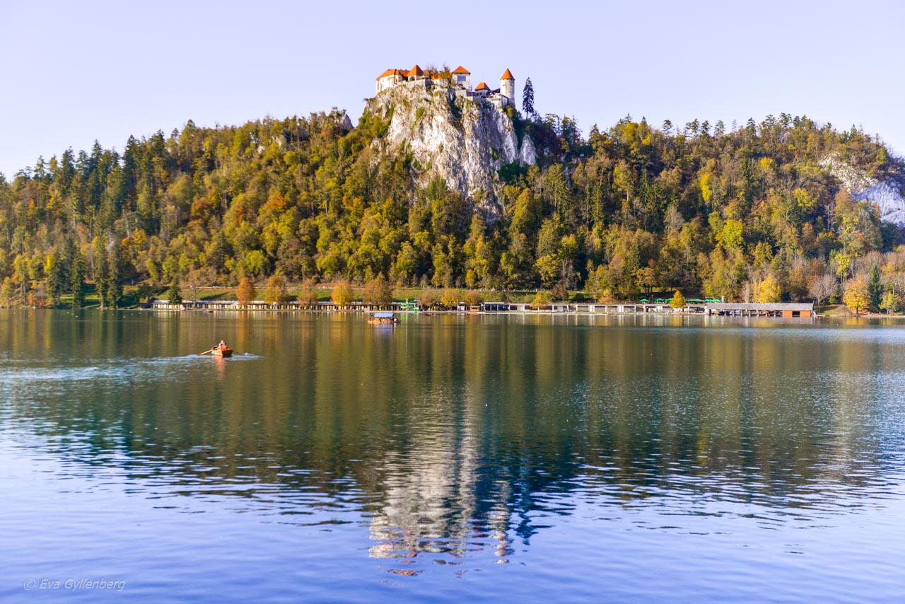 Slottet vid Bledsjön