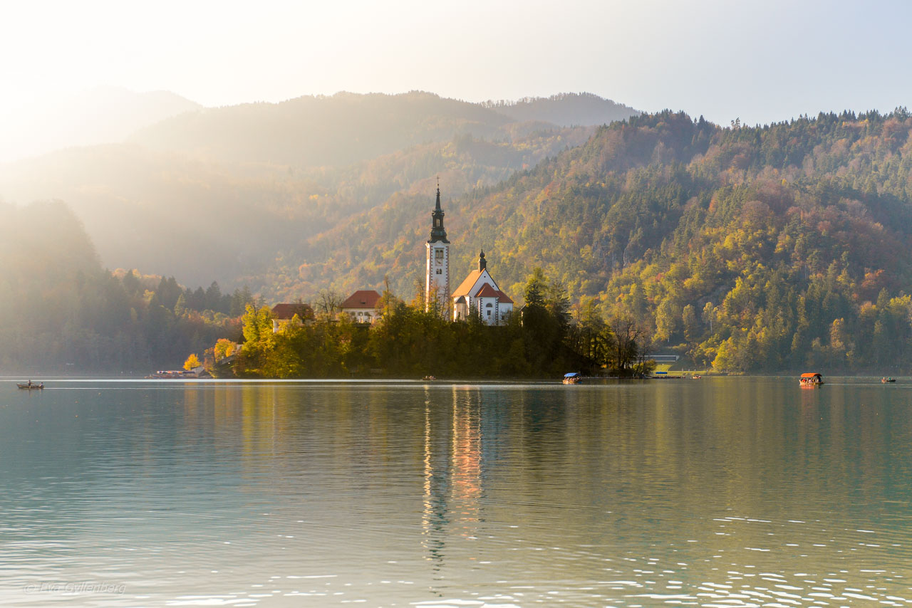 Vackra Bledsjön i Slovenien