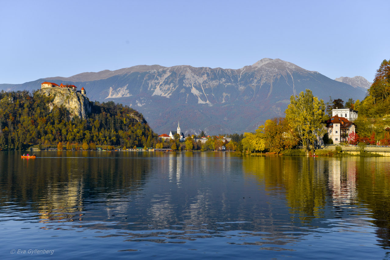 Spegelblank Lake Bled
