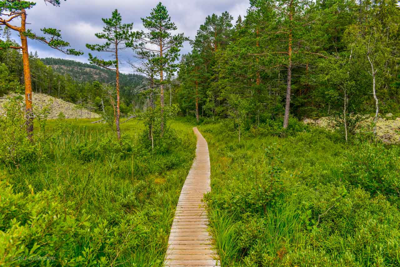 Lite sankmark på väg till Slåttdalsskrevan