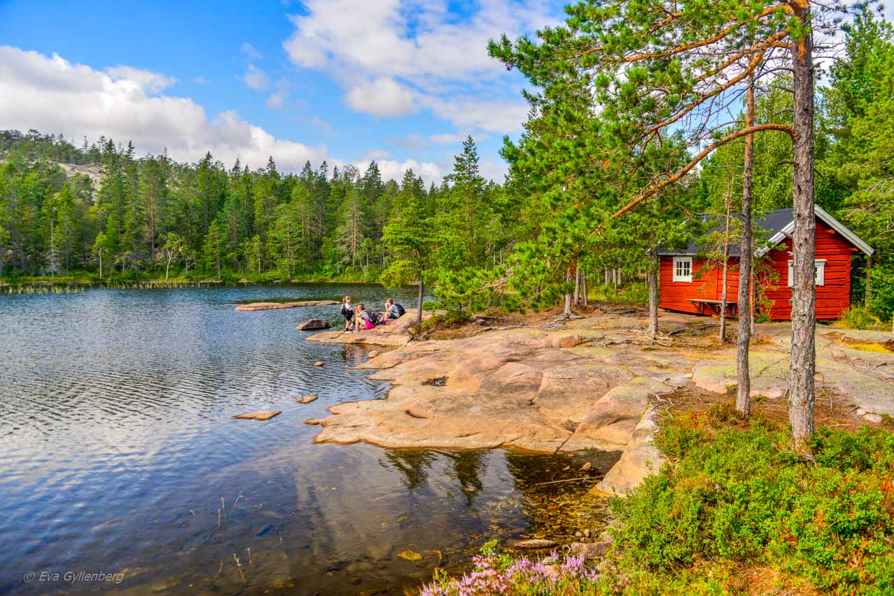 Tärnättvattnen i Skuleskogen