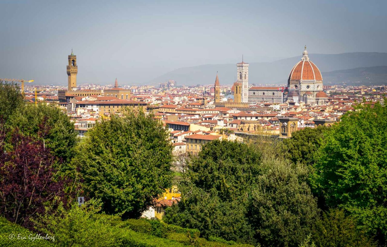 Florens - Italien från ovan