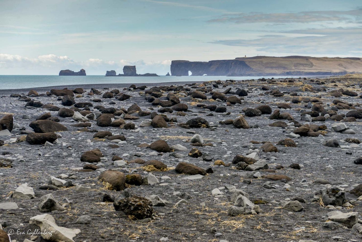 Reynisfjara-Island