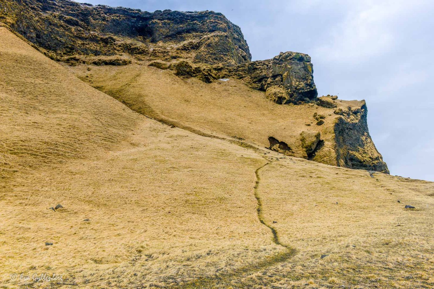 Reynisfjara-Island